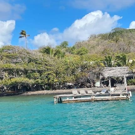 Islet lined with coconut palms and its jetty, seen from the boat